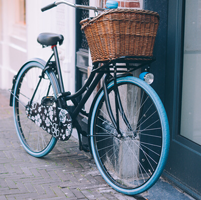 The bicycle